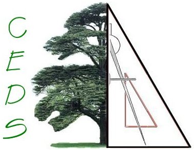 Cedar Engineering & Design Service
